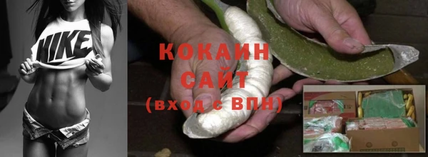 винт Нея