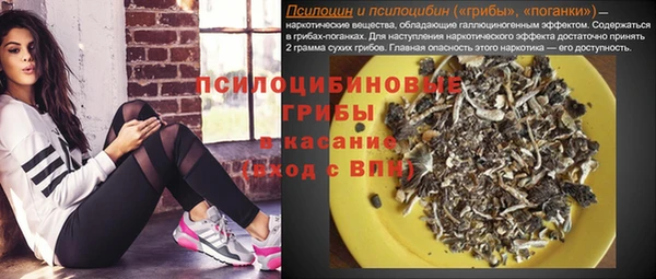 ГАЛЛЮЦИНОГЕННЫЕ ГРИБЫ Новокубанск