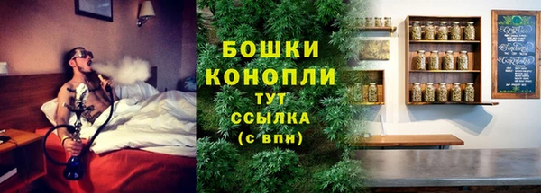 винт Нея