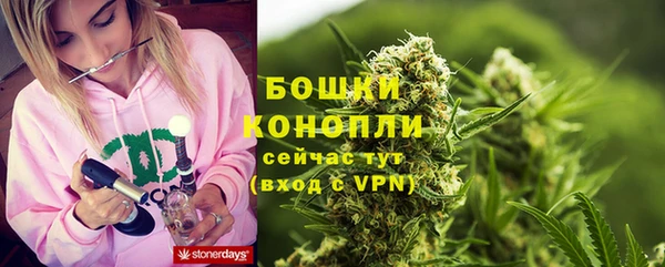 винт Нея
