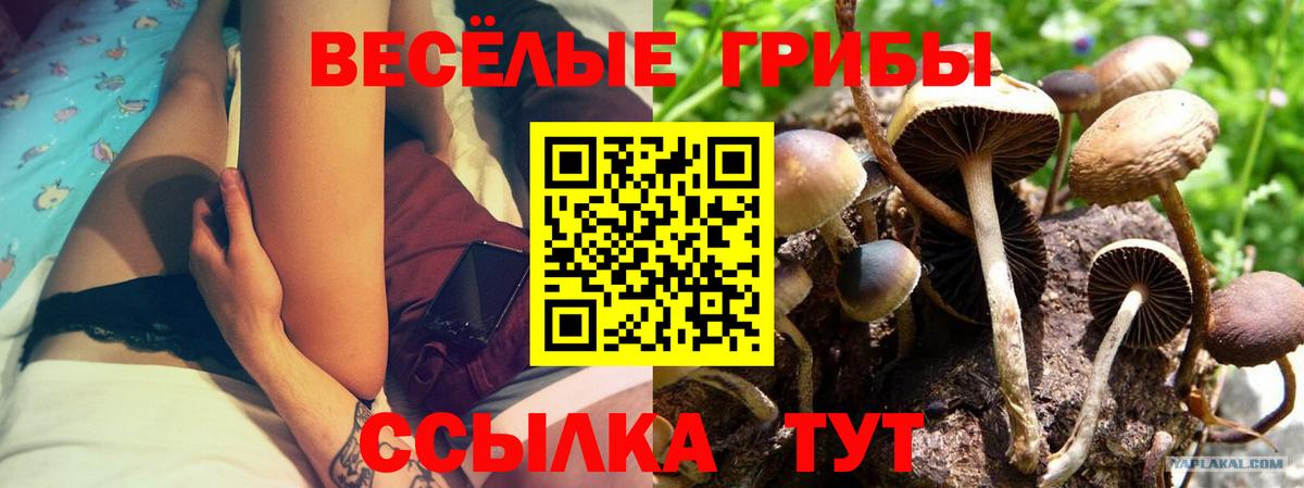 Псилоцибиновые грибы Magic Shrooms Нурлат